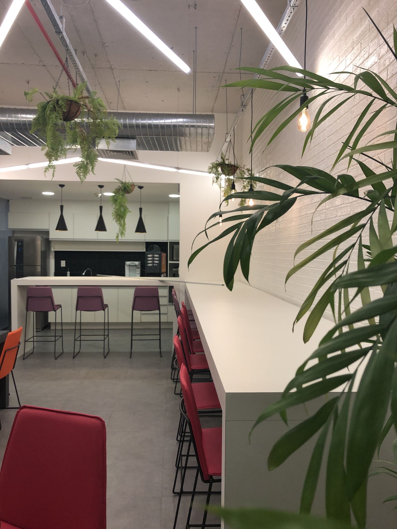 Copa com bancada e plantas pendentes